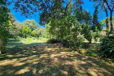 Земельный участок в Чиангмае, Таиланд № 122794 - фото 6