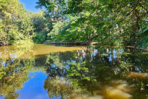 Земельный участок в Чиангмае, Таиланд  № 122794 - фото 11