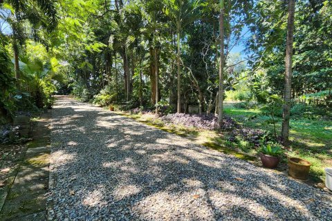 Terrain à Chiang Mai, Thaïlande № 122794 - photo 3