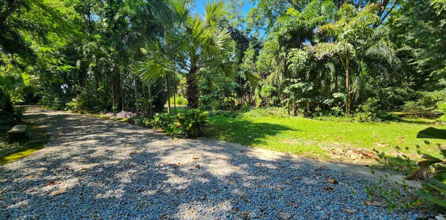 Земельный участок в Чиангмае, Таиланд № 122794