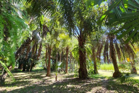 Земельный участок в Чиангмае, Таиланд № 122794 - фото 17