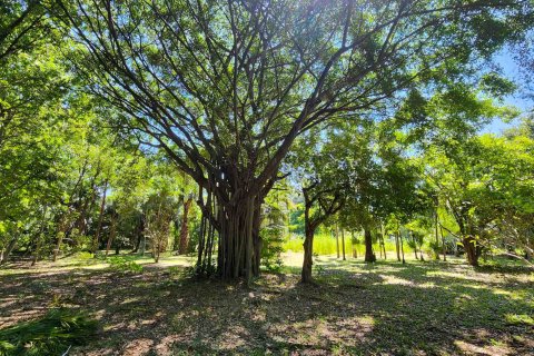 Земельный участок в Чиангмае, Таиланд № 122794 - фото 16