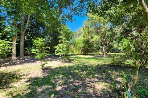 Земельный участок в Чиангмае, Таиланд № 122794 - фото 13