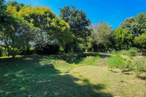 Земельный участок в Чиангмае, Таиланд  № 122794 - фото 8