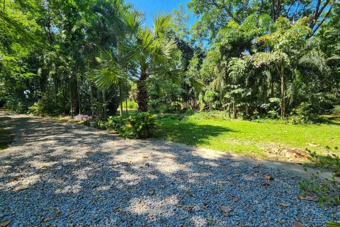 Land in Chiang Mai, Thailand № 122794