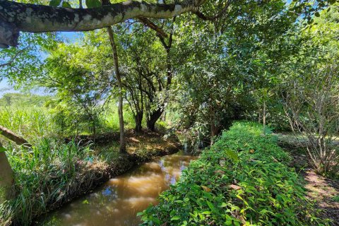 Terrain à Chiang Mai, Thaïlande № 122794 - photo 5