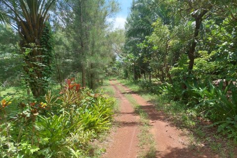 Земельный участок в Каласине, Таиланд 88000м2  № 170702 - фото 6