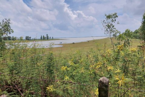 Земельный участок в Каласине, Таиланд 88000м2  № 170702 - фото 5