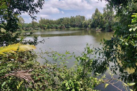 Земельный участок в Каласине, Таиланд 88000м2  № 170702 - фото 7
