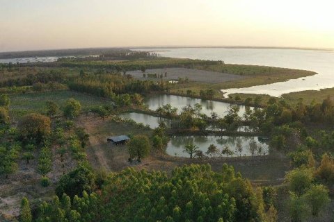 Земельный участок в Каласине, Таиланд 88000м2  № 170702 - фото 3