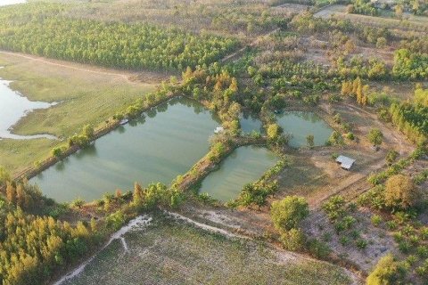 Земельный участок в Каласине, Таиланд 88000м2  № 170702