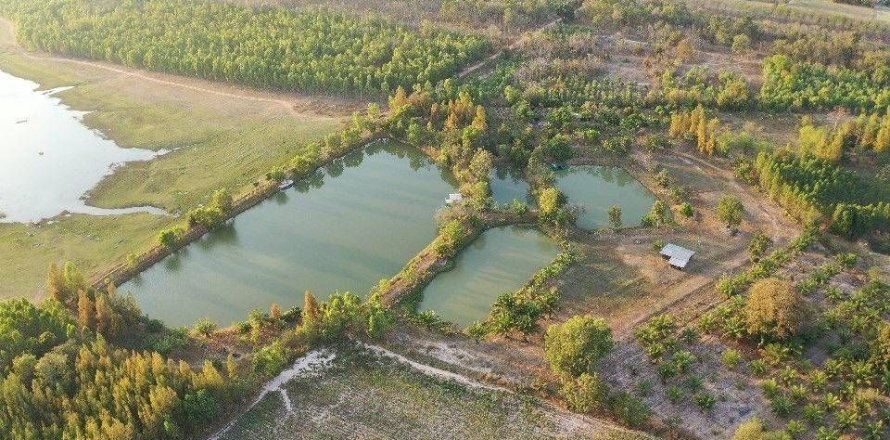 Земельный участок в Каласине, Таиланд 88000м2  № 170702