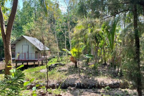 Земельный участок в Каласине, Таиланд 88000м2  № 170702 - фото 18