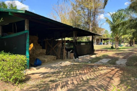 Земельный участок в Каласине, Таиланд 88000м2  № 170702 - фото 17