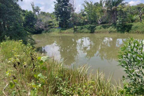 Земельный участок в Каласине, Таиланд 88000м2  № 170702 - фото 9