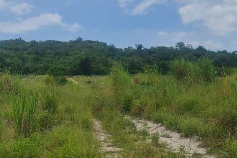 Земельный участок в Хуа Хине, Таиланд 6400м2  № 170700 - фото 3