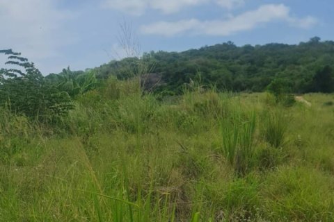 Земельный участок в Хуа Хине, Таиланд 6400м2  № 170700 - фото 5