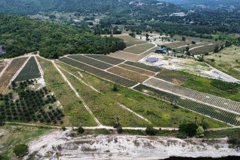 Земельный участок в Хуа Хине, Таиланд 6400м2  № 170700 - фото 6