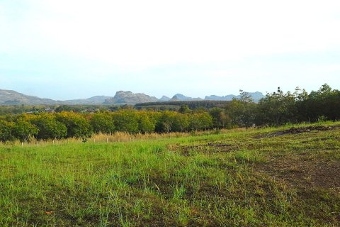 Land in Loei, Thailand 24000 sq.m. № 169440 - photo 5