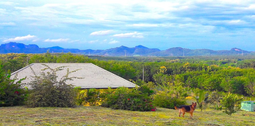Land in Loei, Thailand 24000 sq.m. № 169440