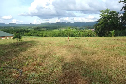 Land in Loei, Thailand 24000 sq.m. № 169440 - photo 7
