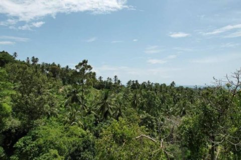 Terrain à Ko Samui, Thaïlande № 156794 - photo 5