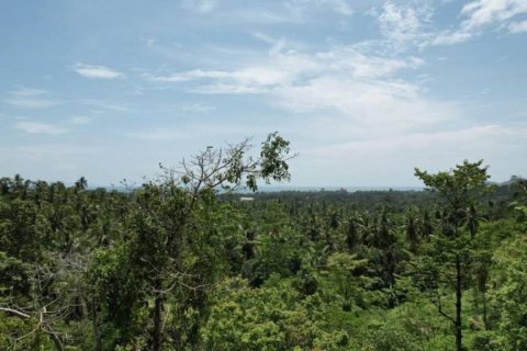 Terrain à Ko Samui, Thaïlande № 156794 - photo 3