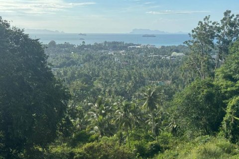 Terrain à Ko Samui, Thaïlande № 156794 - photo 4