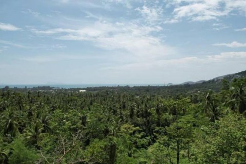 Terrain à Ko Samui, Thaïlande № 156794 - photo 6
