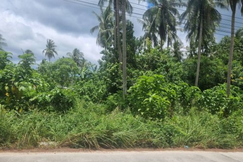 Terrain à Surat Thani, Thaïlande № 115699 - photo 3