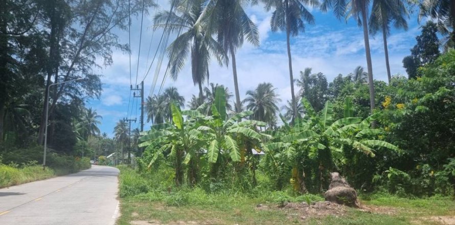 Terrain à Surat Thani, Thaïlande № 115699
