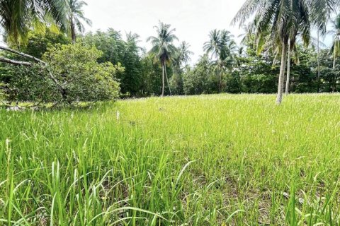 Land in Surat Thani, Thailand № 115700 - photo 4