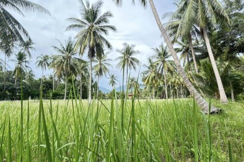 Land in Surat Thani, Thailand № 115700 - photo 5