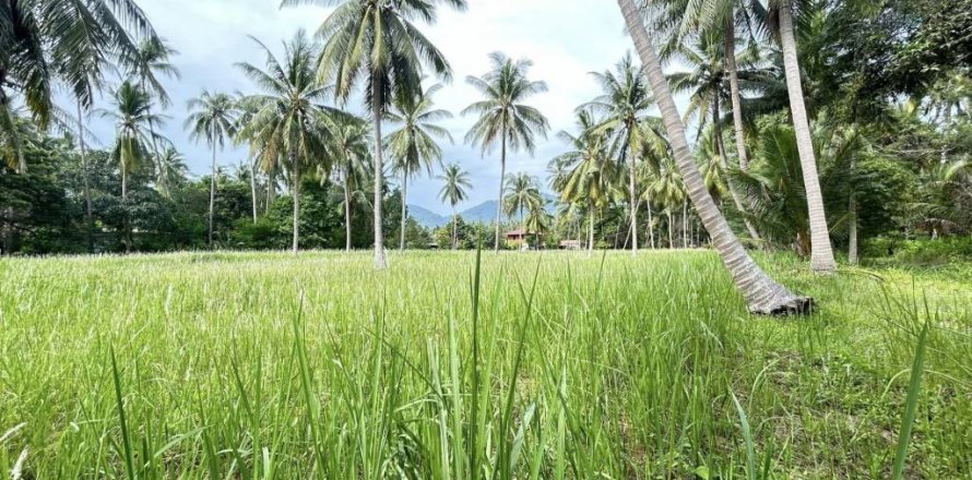 Land in Surat Thani, Thailand № 115700