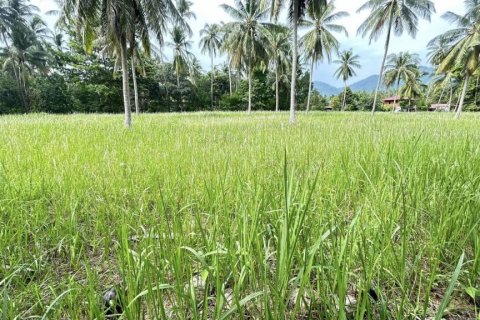Land in Surat Thani, Thailand № 115700 - photo 7