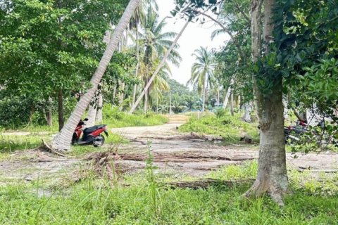 Land in Surat Thani, Thailand № 115700 - photo 6
