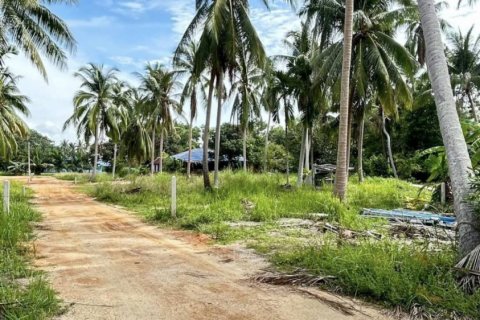 Land in Surat Thani, Thailand № 115700 - photo 10