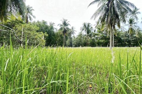 Land in Surat Thani, Thailand № 115700 - photo 2