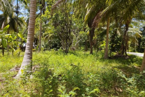 Land in Surat Thani, Thailand № 115701 - photo 10