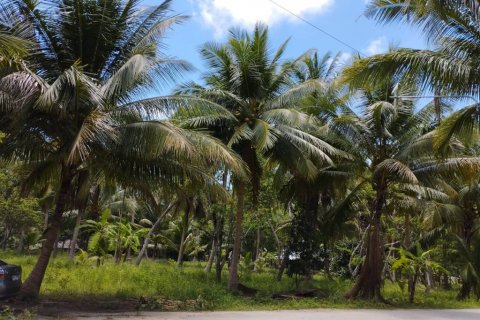 Land in Surat Thani, Thailand № 115701 - photo 3