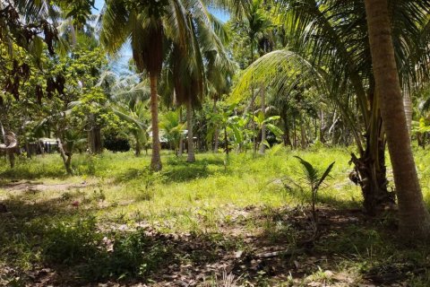 Land in Surat Thani, Thailand № 115701 - photo 8