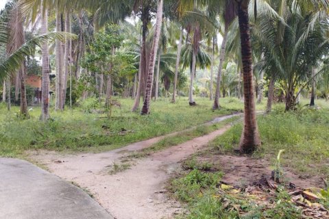 Land in Surat Thani, Thailand № 115701 - photo 5