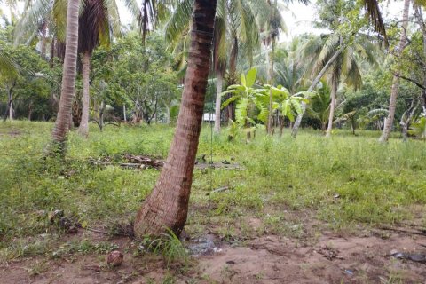 Land in Surat Thani, Thailand № 115701 - photo 4