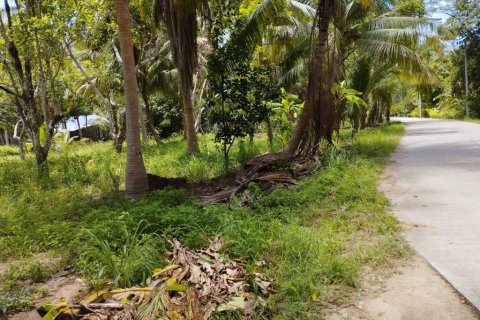 Land in Surat Thani, Thailand № 115701 - photo 7