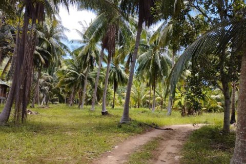 Land in Surat Thani, Thailand № 115701 - photo 1