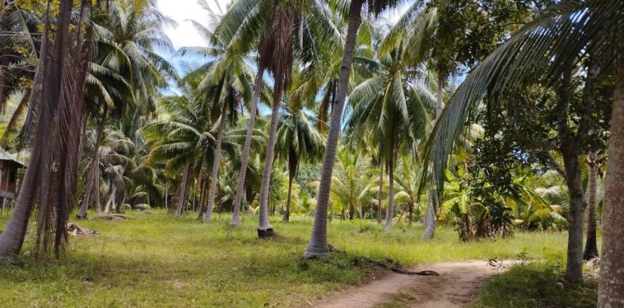 Land in Surat Thani, Thailand № 115701