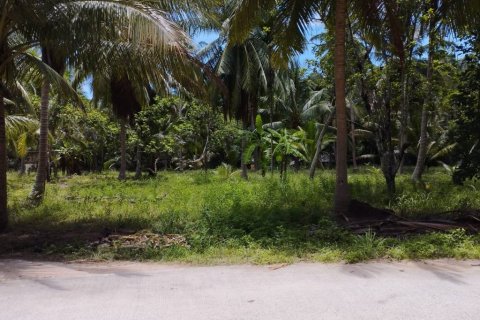 Land in Surat Thani, Thailand № 115701 - photo 9