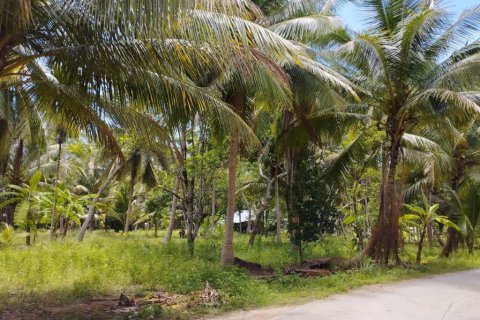 Land in Surat Thani, Thailand № 115701 - photo 6