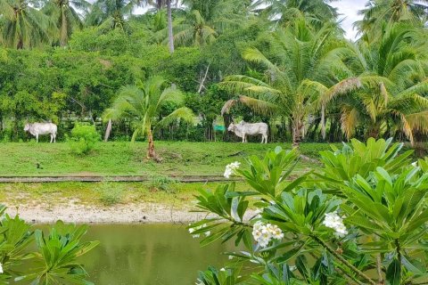 Villa à Hua Hin, Thaïlande 2 chambres № 137279 - photo 21