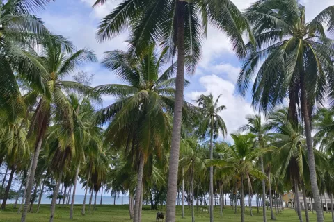 Villa à Hua Hin, Thaïlande 2 chambres № 137279 - photo 23